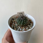아성환 3번 : 아오미 가든