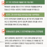 이지후 비너스 천연 극손상 임산부 탈모 두피 약산성 샴푸 1000ml : 주식회사이지후그린과학