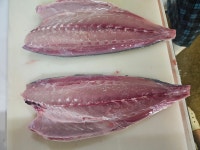 [아저씨푸드] 자연산 제철 방어회 450g 필렛 소방어 방어 야도 : 아저씨푸드