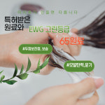 이지후 비너스 천연 극손상 임산부 탈모 두피 약산성 샴푸 1000ml : 주식회사이지후그린과학