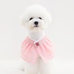 분홍 강아지 고양이 한복 케이프 : 최고의개