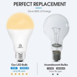 A21 LED 전구 150와트 등가 전구, 소프트 화이트 2700K, 2600 하이 루멘 초밝은 E26 베이스, 비디머블, UL 목록, 2팩 : 더엠제이쇼핑