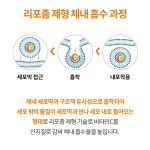 리포좀 비타민C D 리포조말 리포솜 공법 비타민씨 아연 영양제 약국 2통 : 리치부엉이