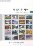[VCD] 아름다운 자연 - 노래방건전영상시리즈 1 : 대영팬더