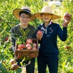참샘농장 생석류 국산 고흥 석류 석류생과 햇석류 참샘농장 : 참샘푸드