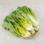 국내산 무농약 친환경 얼갈이 배추 (600g - 4kg) : 생활의참견
