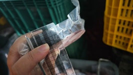 대삼치 스테이크 1kg 삼치구이 필렛 생선구이 삼치요리 펀스토랑 이태곤 : 더좋은씨푸드