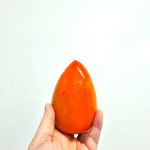 지리산 산청 대봉감 홍시 대봉시 10kg 대봉곶감 : 아란 마켓