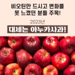 [4개월분] 뉴트리하루 아누카사과 추출 분말 비오틴 맥주효모 리치 맥스 60정, 2개 : 위드온몰