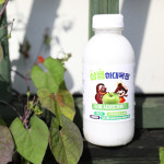 1등급 원유로 만든 딸기 블루베리 선물용 무가당 수제 공주밤 수제 요거트 500ml 4개 : 하대목장