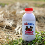 계룡산 하대목장 1등급 원유로 만든 숲속 수제 딸기 요거트 500ml  4병 : 하대목장