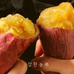 [농장직판] 호박고구마 햇고구마 속노랑 원종 호풍미 10kg 강화도 당근고구마 강화 : 강한농부