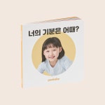 피카비 플레이키트 Growth 4 (22-24개월) 몬테소리교구 두돌아기장난감 : 피카비
