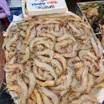 갓 잡아올린 자연산 대하 1kg : 먹고 놀자