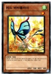 리드버터플라이 (STBL-KR003) Normal 한글판유희왕카드 : 듀얼스페이스