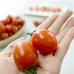 싱싱한 대추 방울토마토 2kg : 행복한농부