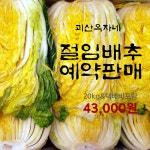 [500박스 한정] 괴산옥자네 괴산절임배추 20kg 택배비 무료 : 괴산 옥자네