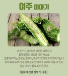 국내산 말린 건여주 여주 말린것 500g : 자유장터
