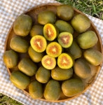 선향원 제주 레드키위 고당도 2.6kg 4.5kg : 선향원