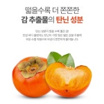감바디워시 리필 노인냄새 몸냄새 체취 제거 노네랄 단감 바디클렌져 2개 : 리치부엉이