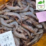 서해안 자연산대하 1kg(25미내외) 대하 생물대하 새우 : 박가네농수산