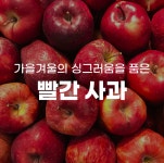 [알뜰 장보기] 경북 청송사과 안동 홍사과 보조개 못난이 문경사과 2kg : 월간 제철 과일