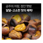 농사친구 2024 공주 정안 알밤 햇밤 깐 밤 옥광 맛밤 2kg 4kg : 농사친구 스토어