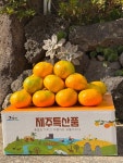 라온감귤농장 제주 제철 햇 노지감귤 알뜰 구성 3kg 2kg 산지직송 : 라온감귤농장