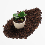 데팡스 오키아타 바크 3L 최고급 뉴질랜드산 소나무 나무껍질 분갈이흙 : 데팡스 홈가드닝 종합쇼핑몰