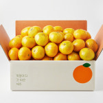 깨비농원 하우스감귤 4kg 중과(L-2L) 소과(2S) : 제주깨비농원