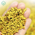 칠갑산 벌화분 농장 레이디 먹는 꽃가루 꿀벌 꿀화분 비폴렌 : 에이치에스육몰