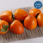 햇 단감 홍시 전라도 영암 대봉감 한박스 5kg 1kg 못난이 가정용 상주 곶감 씨없는 감 : 우리바다농수산