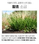 휘트니스 식염 포도당 정 먹는 소금 알약 식염 정 700mg : 비타생활건강