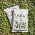 닥터조 프리미엄 분갈이흙10L 몬스테라흙 알보 알로카시아 배양토 고급영양토 화분용 가드닝 : 새롬원예