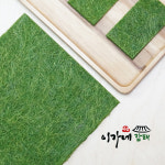 햇 감태 이가네 충남 서산 가로림만 생감태 / 마른감태 1봉 (10매) 건조 김 : 이가네 감태