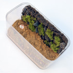 이끼 테라리움 나만의 작은 숲 만들기 키트 : 모스란다