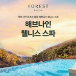 [당일사용가능]  포레스트 리솜 해브나인 스파 제천 리솜 해브나인 이용권 : 티켓박스