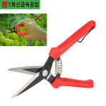 화신 적과가위 P-150(대) 과수원 열매 과일 나무 농장 전장 185MM 10EA단위 : 공구아라