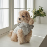 베일리 강아지 스웨터 애견 가디건 앨리프릴 니트 : 베일리 Bailey
