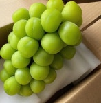 [농가직송]샤인머스켓 제철과일 고당도 프리미엄 선물세트 영동포도 농장 : 원희네 샤인머스켓