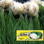 달래씨앗 달래종구 달래 씨 종패 30g : 모종엄마 씨앗아빠