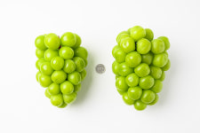 프리미엄 고당도 샤인머스켓 망고포도 선물세트 1.3kg 1.6kg 2kg 2.5kg : So sweet