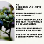 블루베리 전용 고급상토 50L 블루베스트 분갈이 산성 피트모스 배양토 : 조촌식물병원육묘장