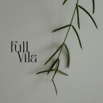 풀비일라 호야 리네아리스  다육식물 실내식물 덩쿨식물 공기정화식물 (동일식물) : 풀비일라