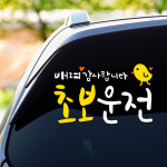 초보운전 스티커 겸손한 친절한 배려감사합니다 왕초보 초보 스티커 301 스몰 : Studio.108