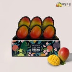 페루 애플망고 6입 / 10입 항공수입 프리미엄 열대과일 생과 : 더달과일