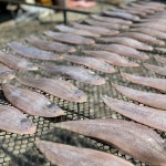 박대 반건조 생선 구이 조림 말린생선 뚱띠푸드 : 뚱띠푸드