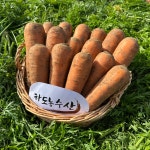 하도농수산 국산 제주 구좌 햇당근 흙당근 5kg 10kg 미니 주스용 산지직송 : 하도농수산