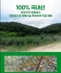 비타민나무잎차(티백) : 영월이룸농장