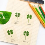 네잎클로버생화 압화  크로버생화 : 키키와지지상점